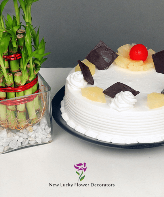 Lucky Bamboo With Pineapple Cake