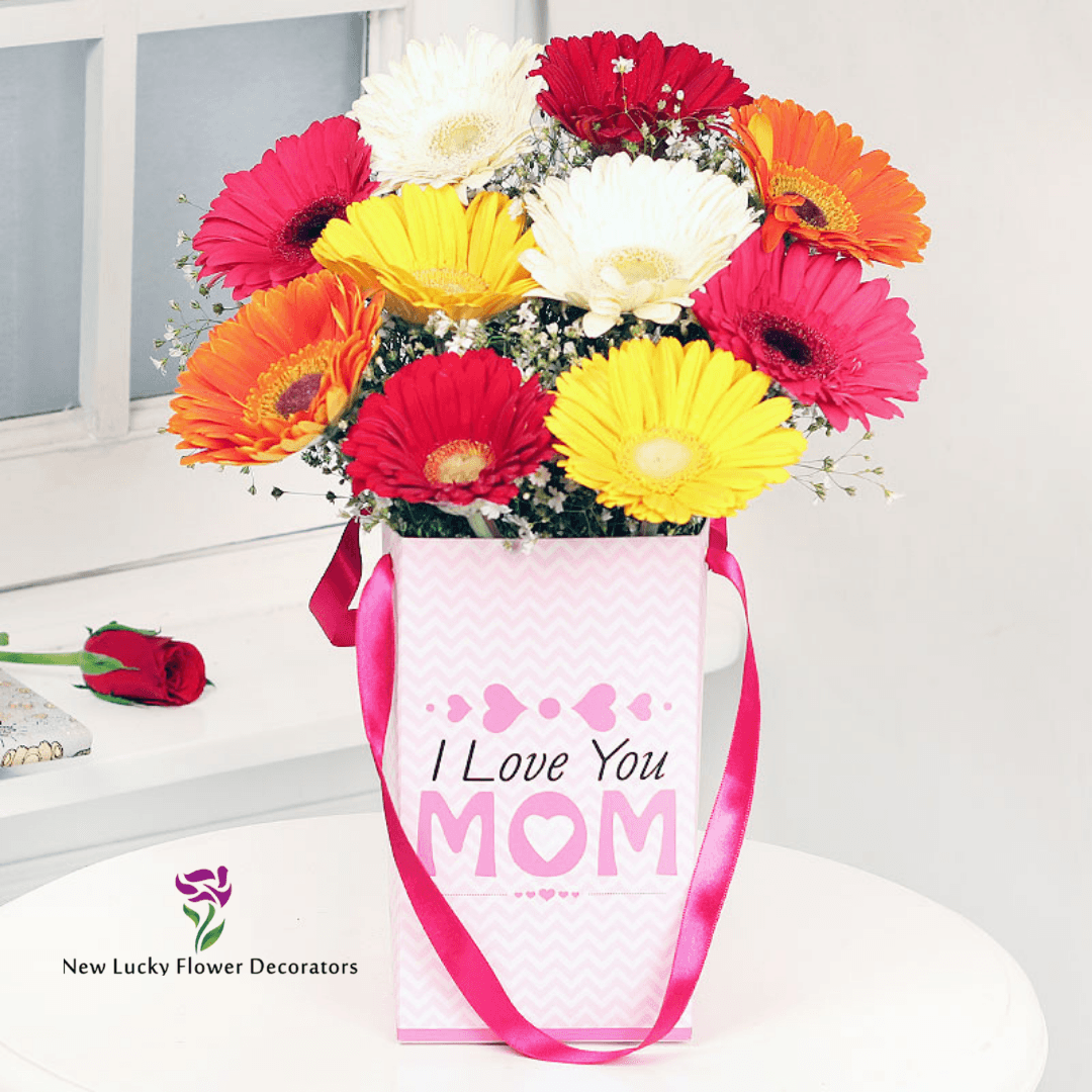 mixed gerberas flower