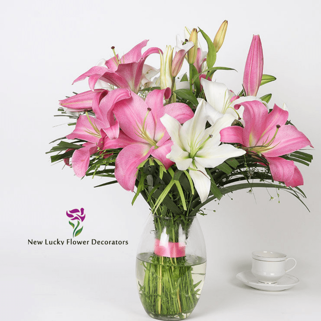 Pink And White lily Flower
