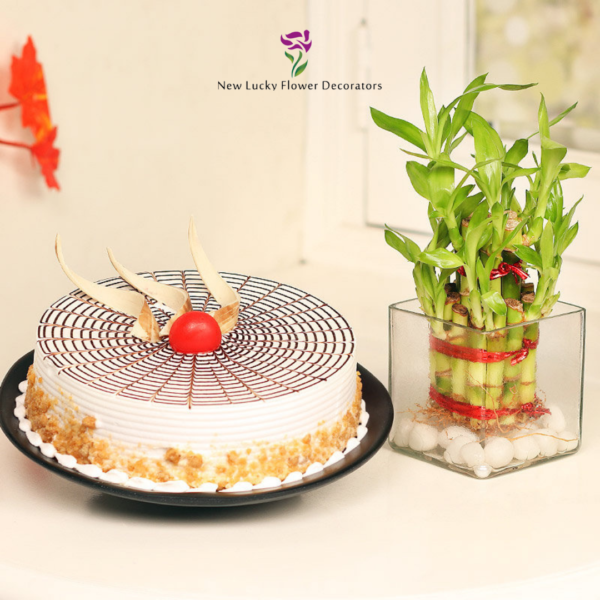 Lucky Bamboo with Butterscotch Cake