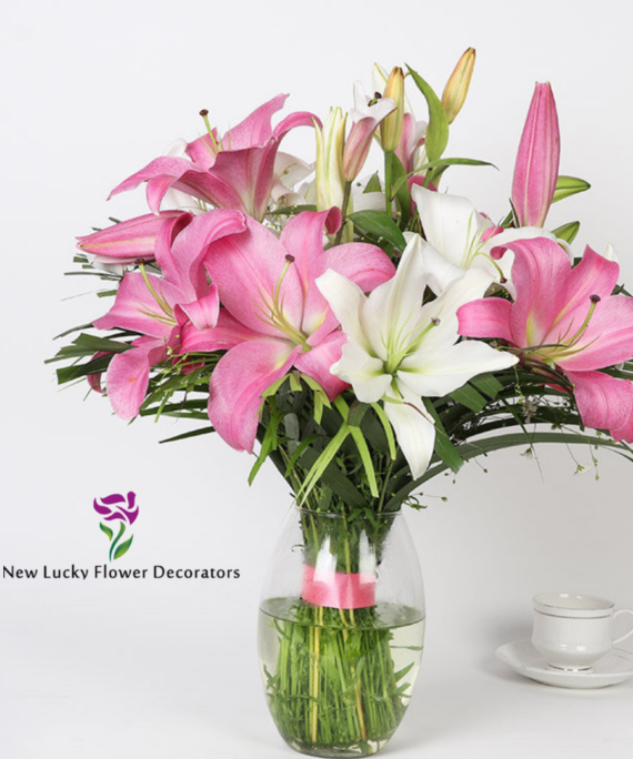 pink and white lily flower