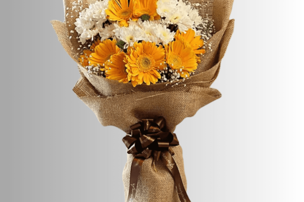 white and yellow carnation flower