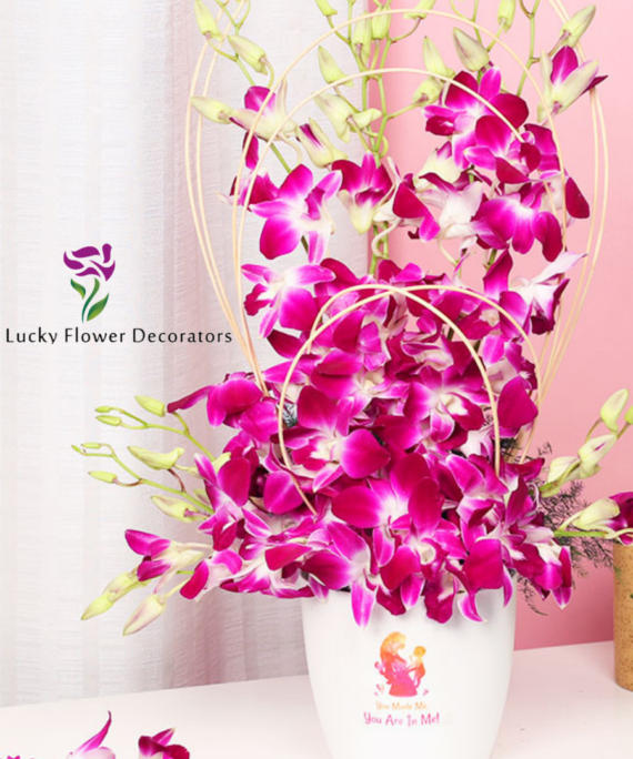 purple orchis flower with basket