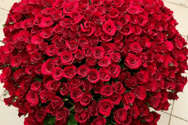 bunch of red roses