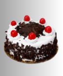 best black forest cake in Udaipur