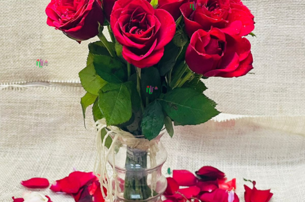 Red Roses with Glass Vase